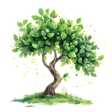 Moringa Tree watercolor illustration, artistic semi-realistic fantasy style, soft glow effects, white background