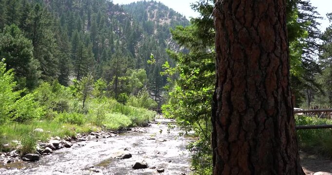 South Boulder Creek flowing behind a tree trunk in Eldorado Canyon State Park, Colorado