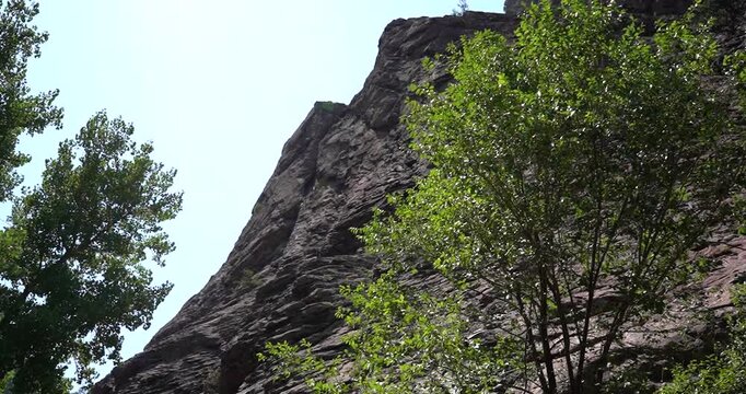 Rocky cliff appearing behind a tree in Eldorado Canyon State Park, Colorado