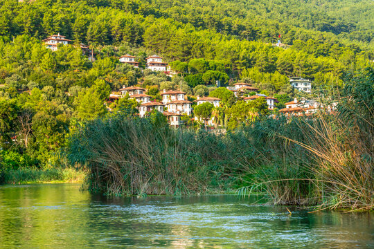 Traditional Ottoman style houses on lush green hill behind Azmak river and reeds in Akyaka, Mugla, Turkey