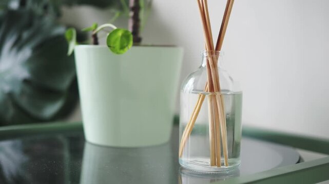 Reed diffuser sticks stand in a glass jar on a table indoors