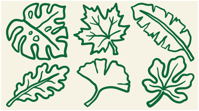 A collection of six distinct hand-drawn botanical leaf featuring monstera, maple, banana, oak, ginkgo, and fig leaves in a thick green outline style on a light cream background