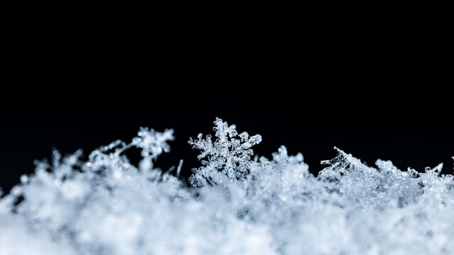 winter photo of snowflakes in the snow