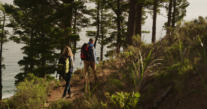 Rear view of senior caucasian couple hiking in sunny coastal forest with backpacks, copy space