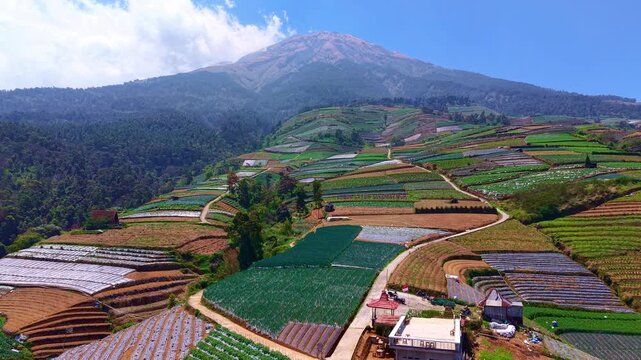 Drone shot of patchwork vegetable farms stepping down a steep mountainside. Aerial footage capturing sustainable farming and Indonesian countryside.
