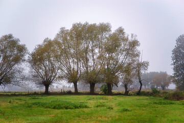Magiczne kolory jesieni na Podlasiu, Polska © podlaski49