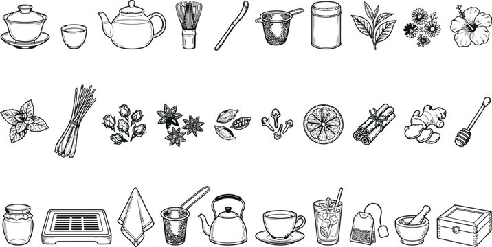 Comprehensive collection of hand drawn herbal tea and beverage ingredients