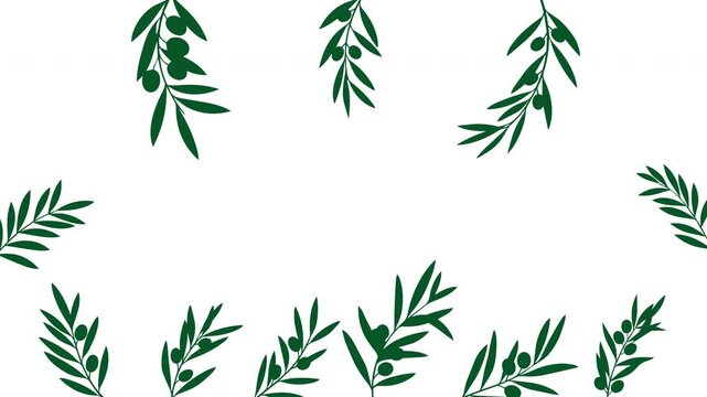Green olive branch frame swaying gently in the breeze with copy space on a white background in a seamless loop