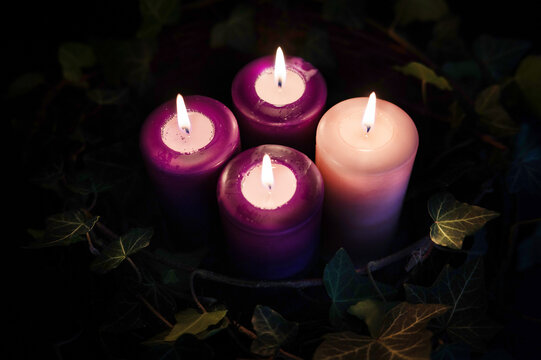 Advent wreath with four purple candles, traditional Christmas preparation.
