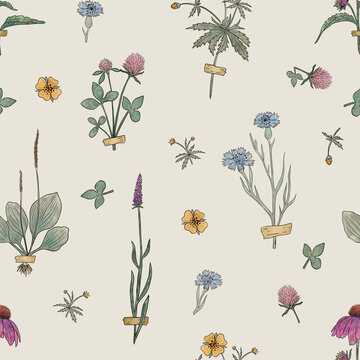 Watercolor Herbarium Seamless Pattern with Scattered Wildflowers. Botanical illustration with clover, cornflowers and leafy specimens on beige. Vintage meadow background for wallpaper, textiles.