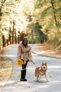 Woman walking a fluffy dog on a tree lined road while carrying sunflowers in warm autumn light, peaceful outdoor lifestyle scene in a forest setting