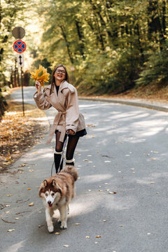 Smiling woman holding autumn leaves while walking a husky dog along a sunlit forest road with fallen leaves and roadside signs in a vertical outdoor portrait