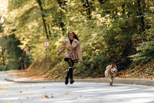 Woman in beige coat walking with a dog along a tree lined road in autumn, surrounded by forest foliage and fallen leaves in a natural outdoor scene