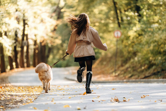 Woman walking with small dog on a tree lined road covered in autumn leaves, viewed from behind in warm sunlight, outdoor lifestyle scene