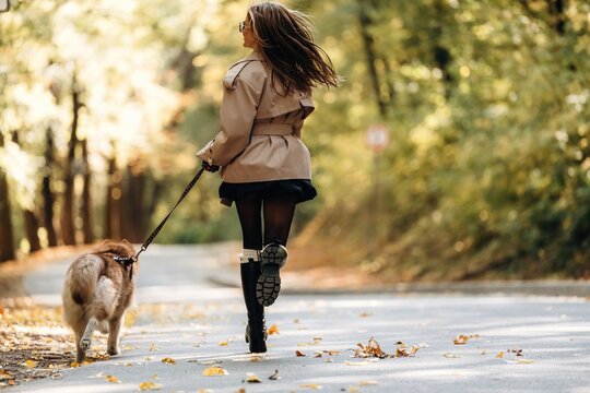 Woman walking a small dog on a leaf covered paved path through a sunlit forest, viewed from behind in autumn outdoor scenery