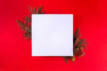 Blank Christmas holiday white card for greetings or invites, on festive bright red background with fir tree branches, top view copy space © ricka_kinamoto