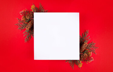 Blank Christmas holiday white card for greetings or invites, on festive bright red background with fir tree branches, top view copy space © ricka_kinamoto