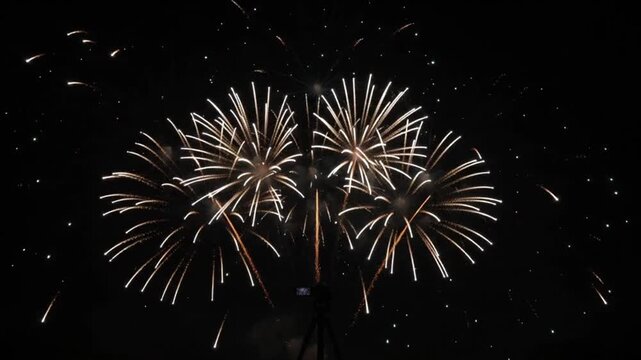 Colorful Pink and Green Fireworks Bursting in Dark Night Sky with Golden Spark Trails Spectacular New Year Celebration and Festive Event Video