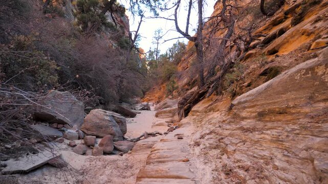 Camera moving forward along sandy wash inside a narrow sandstone canyon flanked by steep rocky walls and desert vegetation, showcasing the rugged wilderness. Zion national park utah