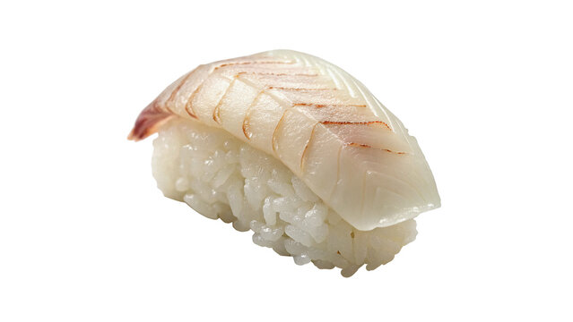 Classic Japanese nigiri sushi with fresh raw white fish gourmet restaurant meal isolated on transparent background.