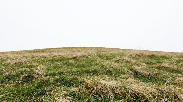 Low wide-angle ground-level view of a grassy hill under an overcast sky
