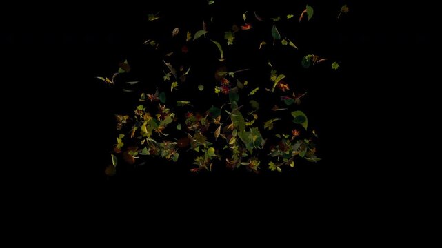 Falling autumn leaves realistic.3D rendering.Element footage with alpha channel