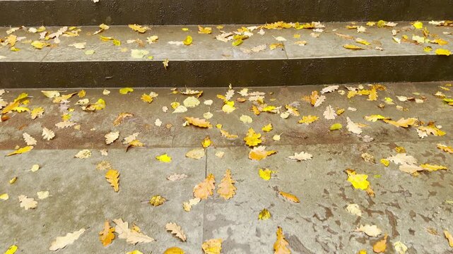 A serene POV walkthrough of empty Pavlovsk Park, Russia, shot on stabilizer. Smooth forward camera motion in slow motion reveals autumn stairs, evoking peaceful melancholy.