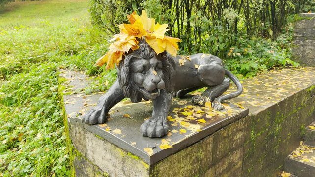 A lion statue rests under light rain in Pavlovsk Park, Russia, shot in slow motion. Yellow leaves create a gentle, melancholic autumn mood.