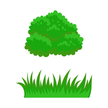 Green Bush and Grass Vector Illustration Isolated on White Background