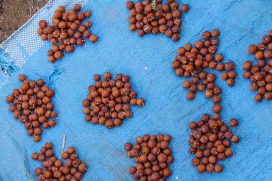 Small round brown fruits laid in heaps on a blue tarp for sale, Sahel Region, Gorom-Gorom, Burkina Faso