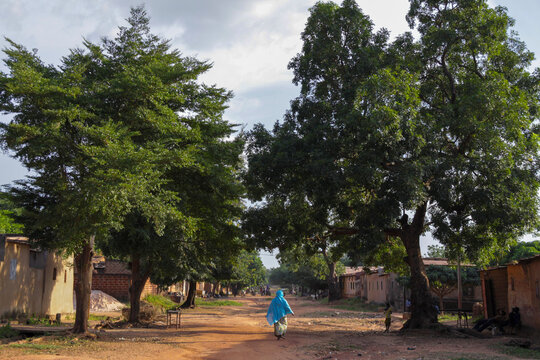 Person in blue veil walking on a dirt street lined with tall trees, Hauts-Bassins Region, Bobo Dioulasso, Burkina Faso