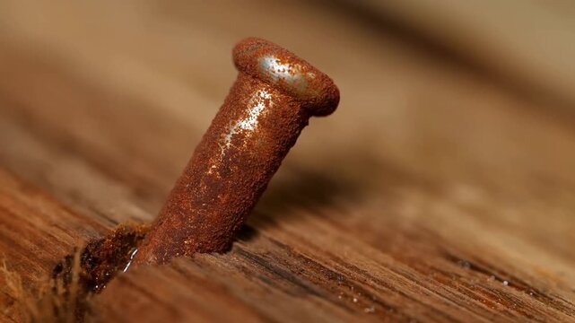 Metal nail stuck in wooden board close up with wood splinters and shallow focus