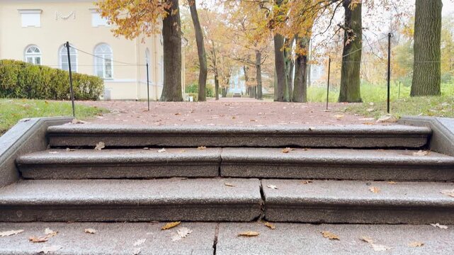 Stone steps lead smoothly along a quiet pathway. A slow motion tilt shot captures serene golden autumn trees lining the calm park. It creates a peaceful mood in Catherine Park, Pushkin.