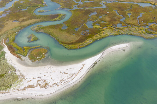 Sinuous channels meander through a beautiful salt marsh growing in Orleans, Massachusetts. Salt marshes are an incredibly important coastal habitat used by many species of fish, birds, and shellfish.