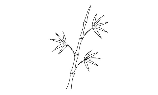 Japan and chains  new year coulter vector new design 2027 Simple bamboo plant with long slender leaves illustration Vector, illustration