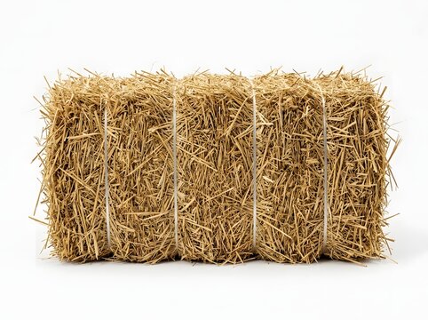 Large tightly bound bale of straw with white string wrapping