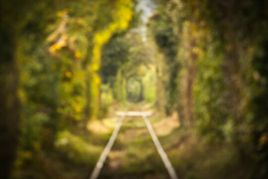 Out of focus railway tracks surrounded by a green tree tunnel, creating a soft, dreamy forest background with blurred foliage, warm light and natural bokeh.