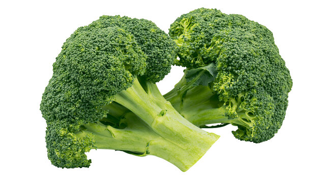 Fresh raw green broccoli florets with thick stalks