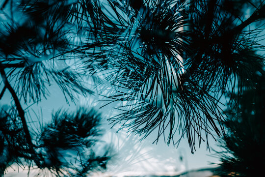 Abstract nature background