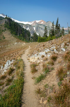 The Pacific Crest Trail, Goat Rock Wilderness, WA