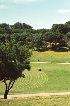 Mower Traces Curves Across Park Lawn