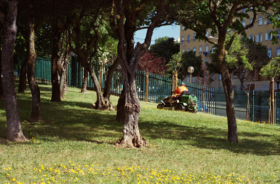 Mowing Grass Between Park Trees