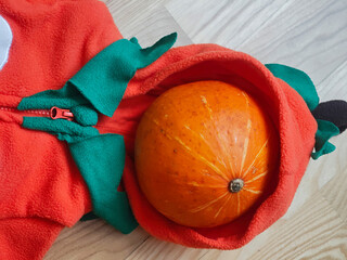 Orange Pumpkin in Bright Halloween Fleece Costume, Close-Up © Алеся Макаревич