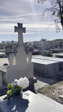 Muertos en cementerios tumbas halloween d&iacute;a de todos los santos sepultura y nicho