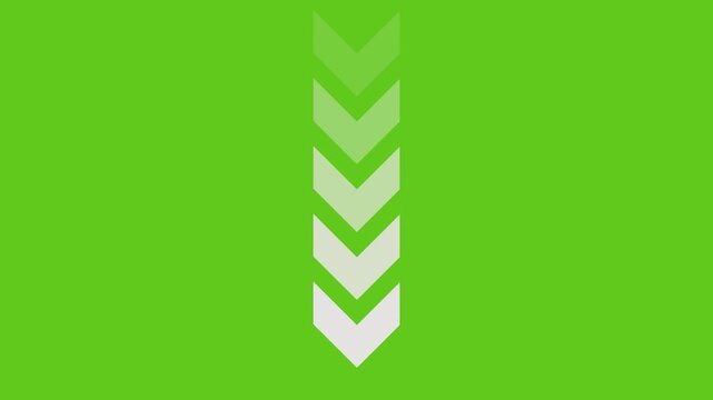Downward pointing chevron arrows with a fading effect on a bright green background