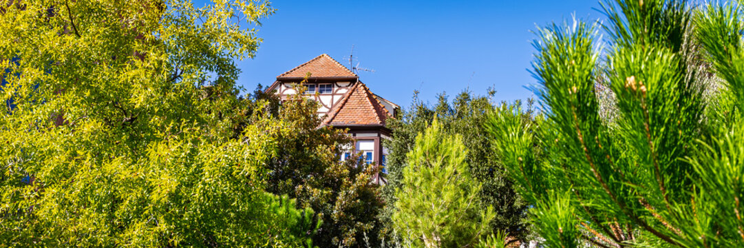 Timber frame house with a tiled roof among trees in a garden during the day