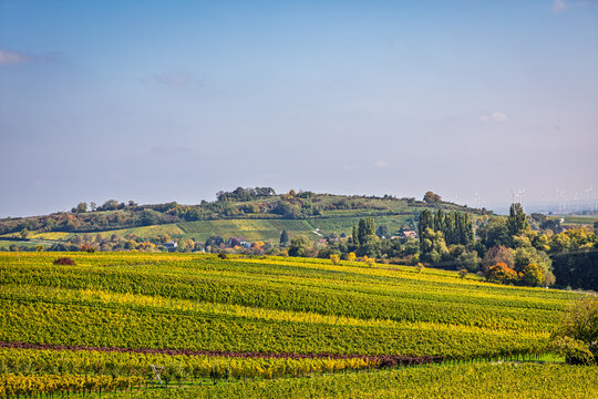 Vineyard rows cross rolling hills in the countryside during daytime