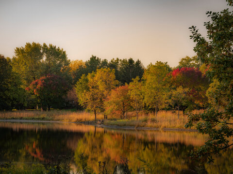 Autumn trees with colorful fall foliage reflecting on calm lake water at golden hour with serene natural background