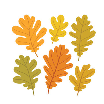 Set of fall oak leaves in yellow brown and orange hues designed for seasonal greeting card decoration.