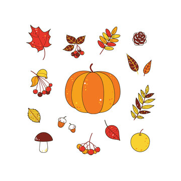 Autumn harvest collection features pumpkin mushroom berries and colorful leaves for seasonal projects.